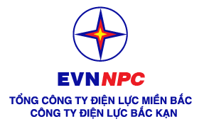 Công ty Điện lực Bắc Cạn