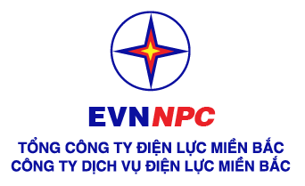 Công ty Dịch vụ Điện lực Miền Bắc 