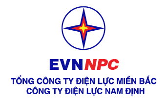 Công ty Điện lực Nam Định 