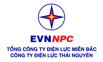 Công ty Điện lực Thái Nguyên 