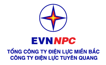 Công ty Điện lực Tuyên Quang 