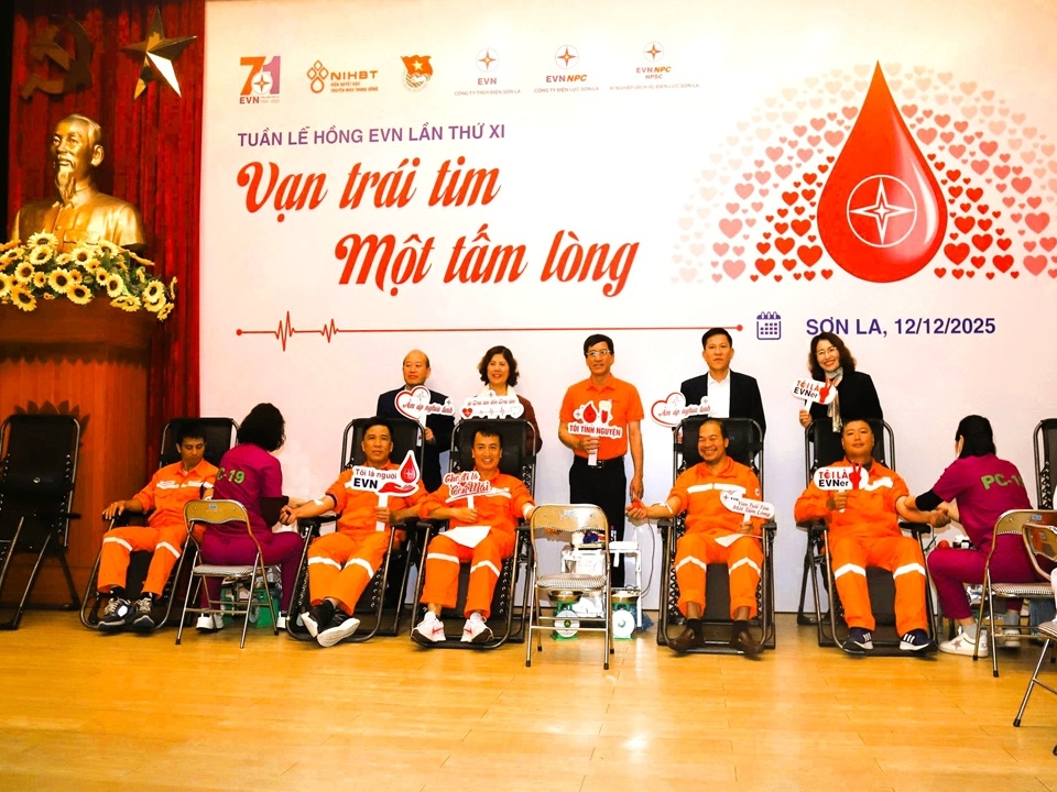 TuanLehongEVN (7)