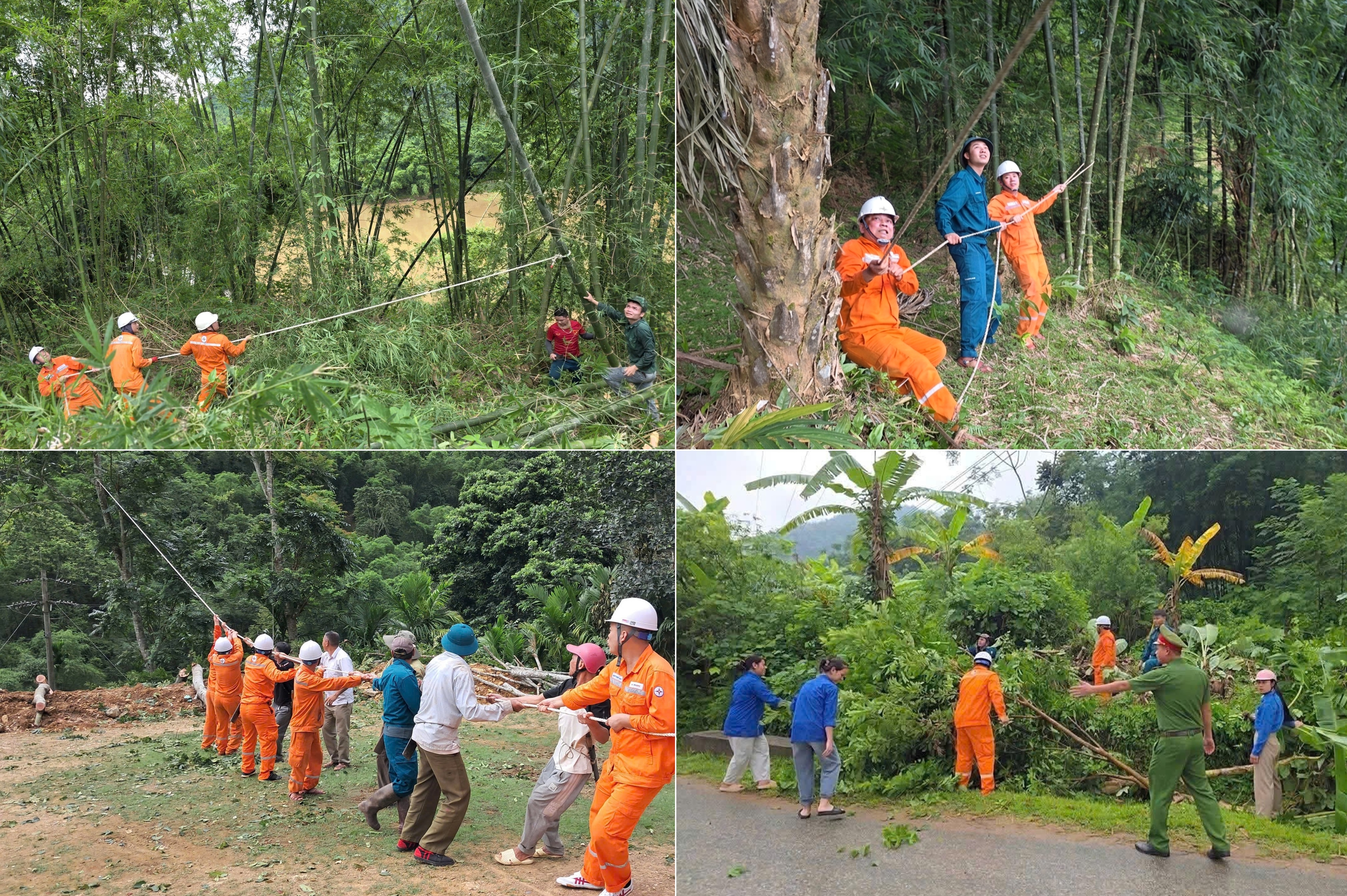 Tổng hợp