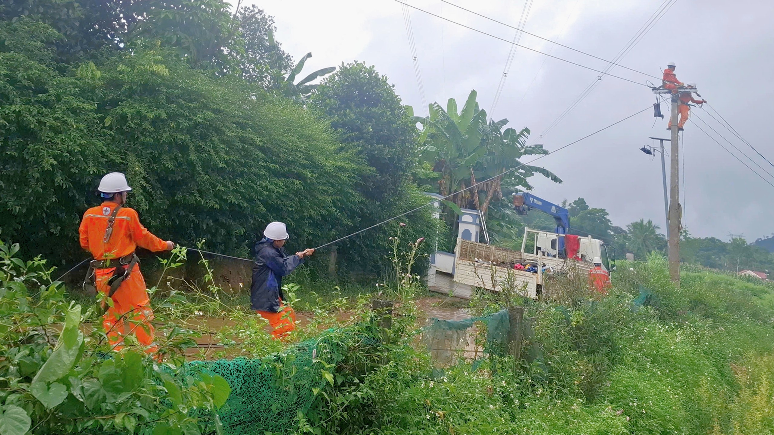 Ảnh đăng bài (1)