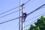 Hà Tĩnh tập trung nguồn lực, đẩy nhanh tiến độ đầu tư xây dựng lưới điện